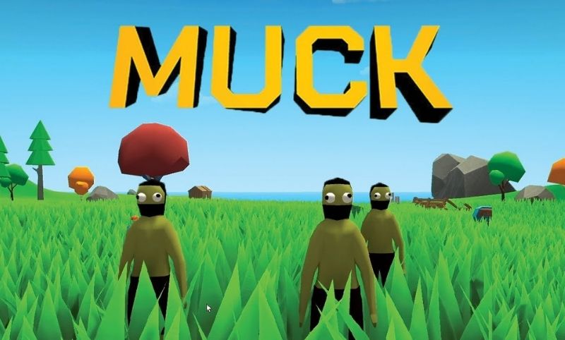 Top 10 Interesting Facts About Muck